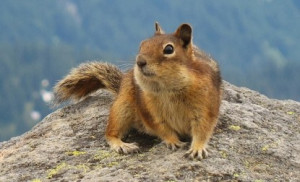 1d22aa9045f04ae87aac9c423984b1ec